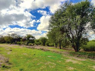 Vendo 19,740 M2 EN COMUNIDAD TEQUISQUIAPAN EN DOLORES, HIDALGO CON VARIOS ARBOLES MEZQUITES Y HUIZACHES LISTO ESCRITURAR