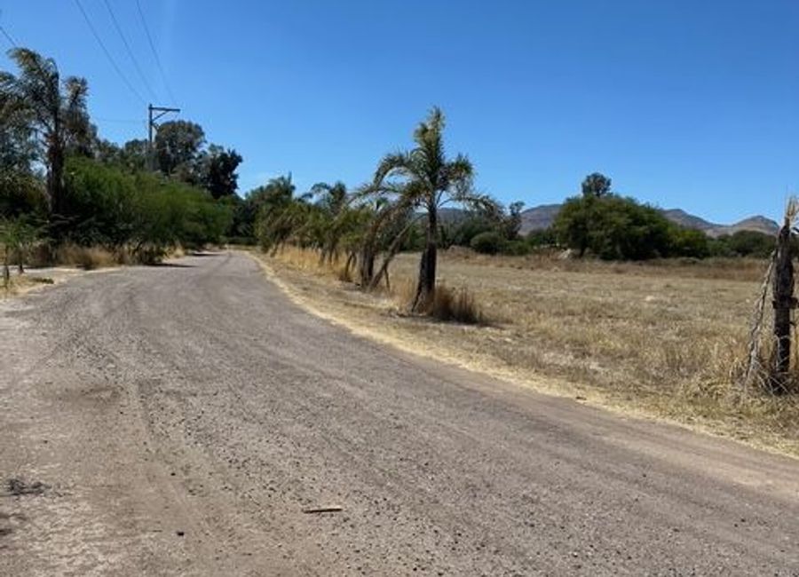 place photo 14