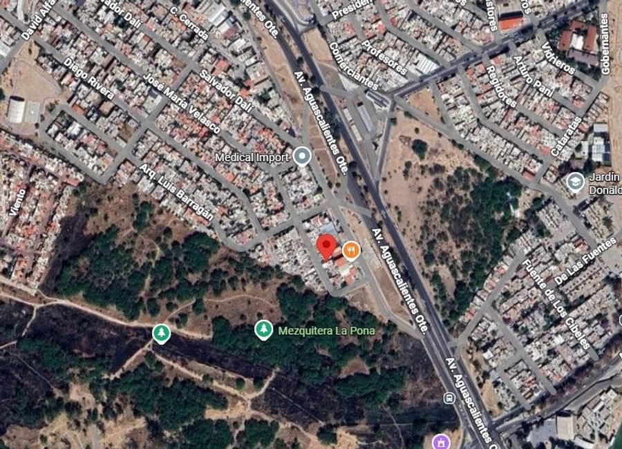 place photo 21