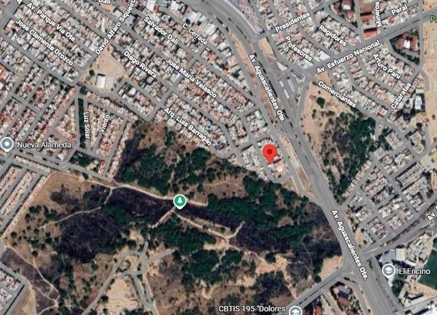 place photo 22