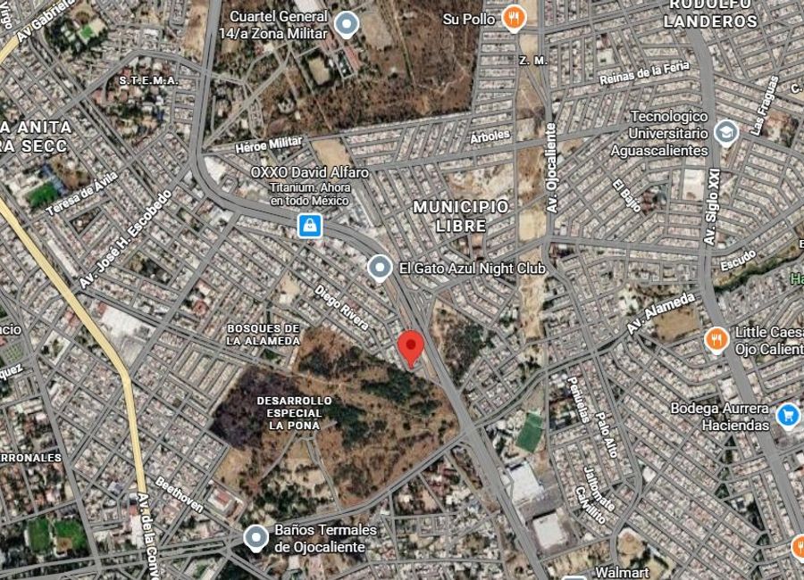 place photo 16