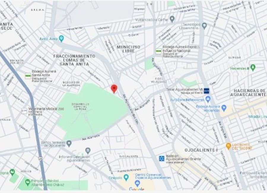 place photo 17