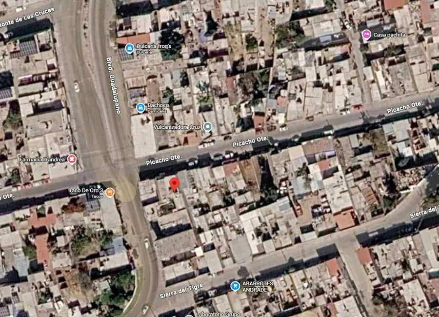 place photo 26