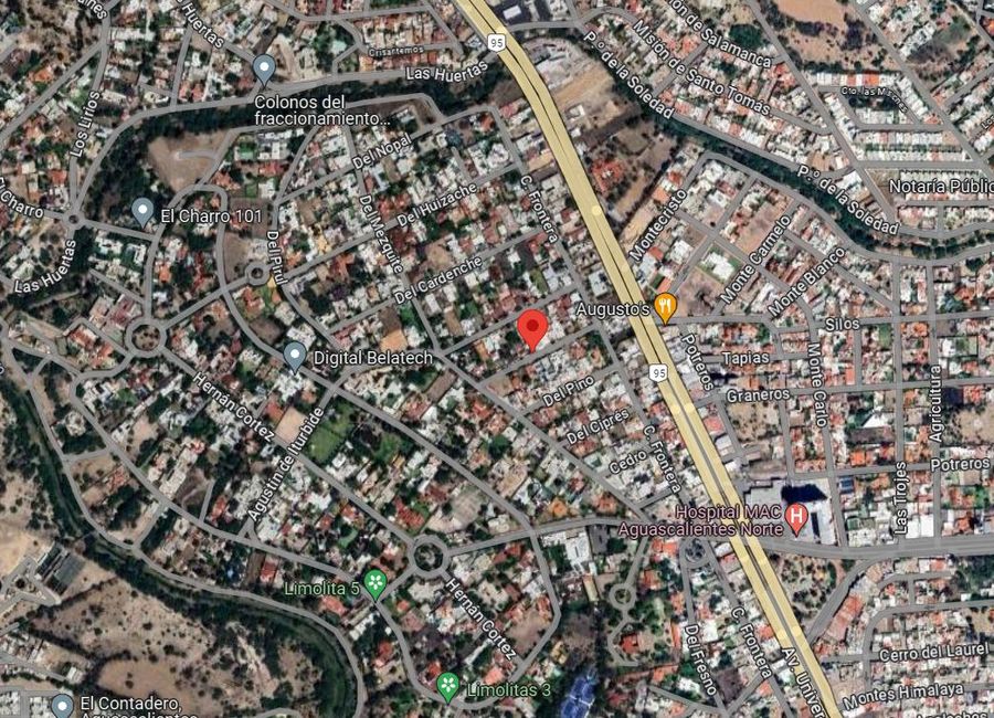 place photo 19