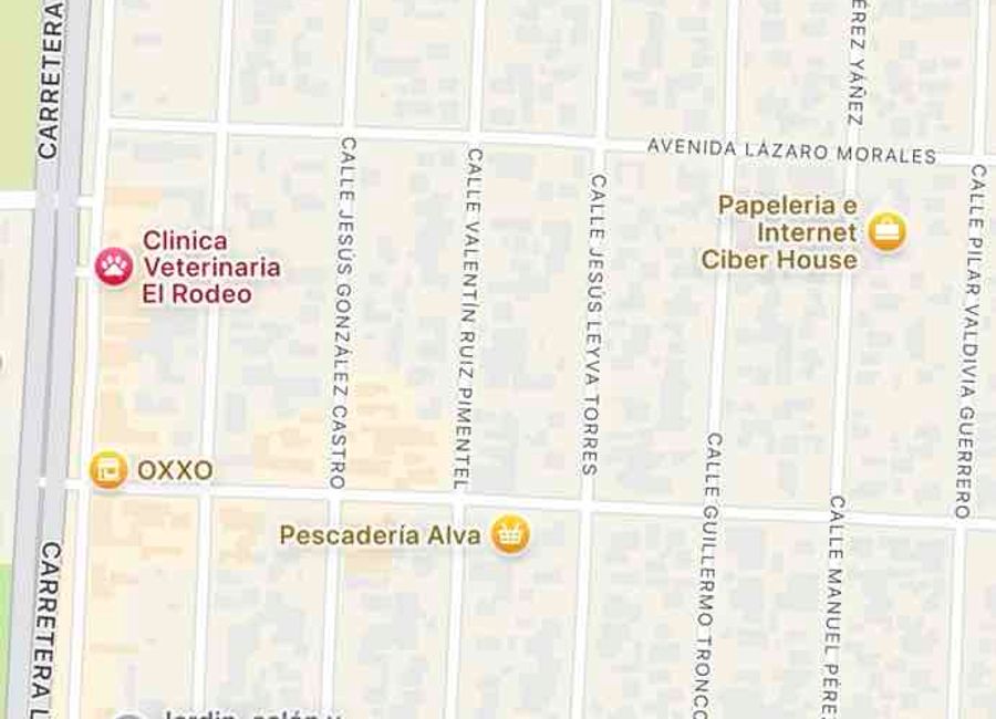place photo 7