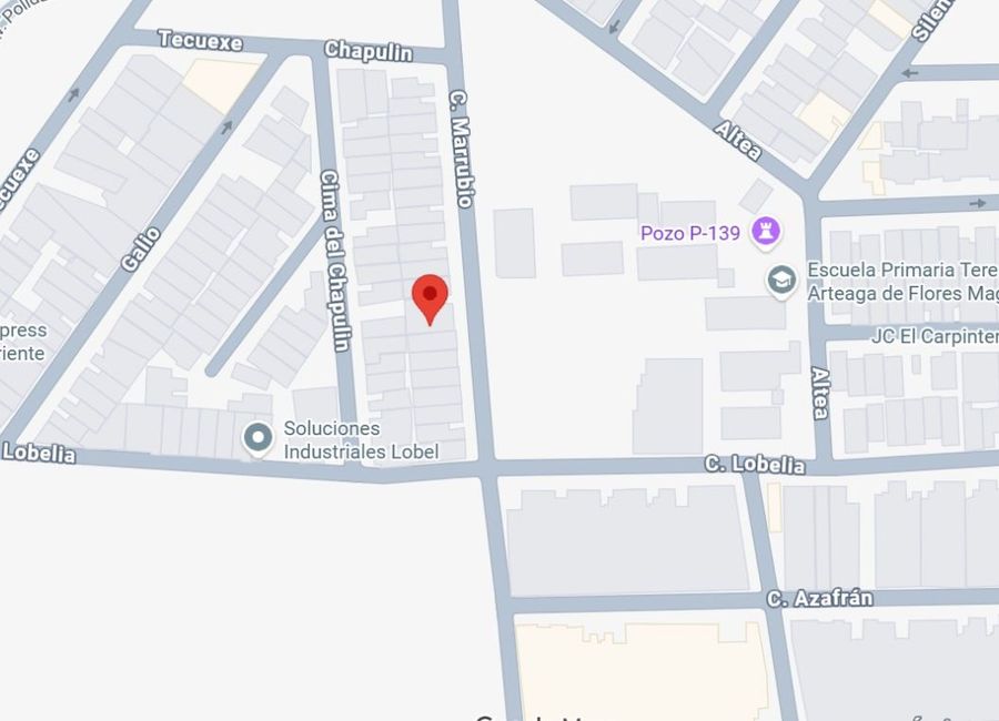 place photo 17