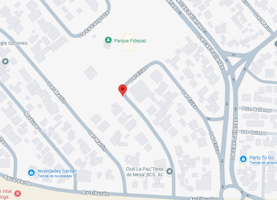 place photo 11