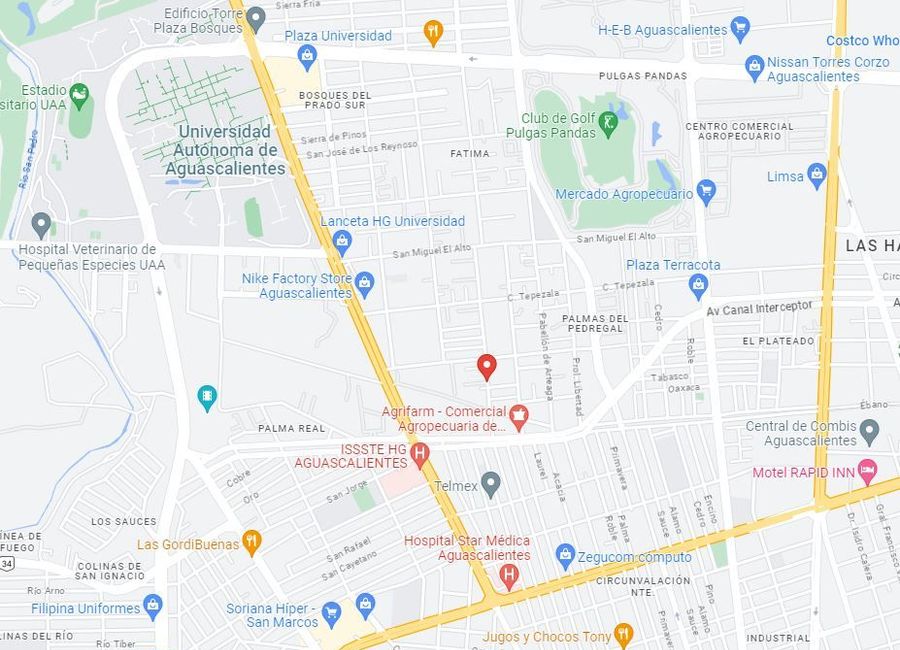 place photo 14