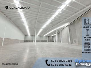 Industrial warehouse rental in Guadalajara
