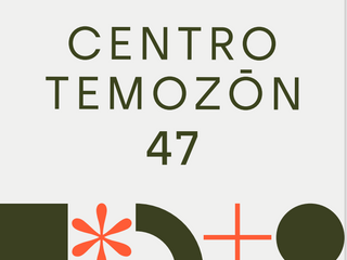 CENTRO TEMOZON 47