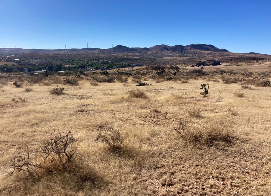 Terreno en Venta en Zacatecas, en Picones