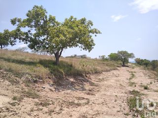 Terrenos Campestres en Venta, Carretera El Lencero - La Tinaja- La Aurora, Emiliano Zapata, Veracruz