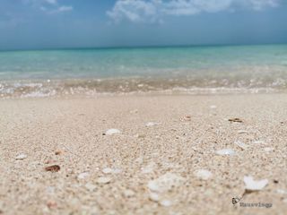 Terreno frente al mar 100 m lineales playa  en Celestun, Yucatan, en venta