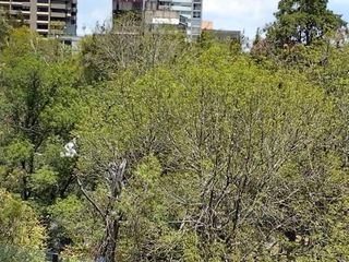 RENTA DE OFICINAS EN PARQUE HUNDIDO, BENTIO JUÁREZ, CDMX