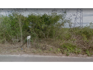 16 hectáreas Tizimín, Yucatán