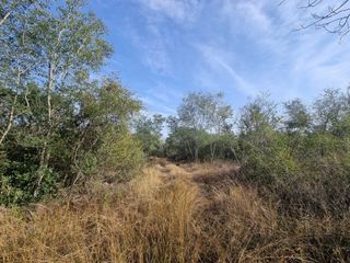 Terreno de 20 hectáreas camino al Barrancón