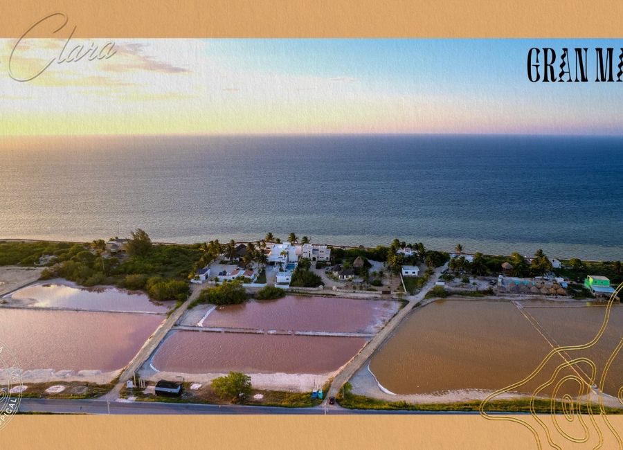 Lotes Residenciales y Comerciales en VENTA en Santa Clara, Yucatán