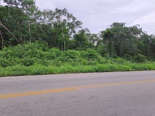 Venta terreno de 8.3 Ha, uso mixto sobre carretera Valladolid–Temozon en Yucatan