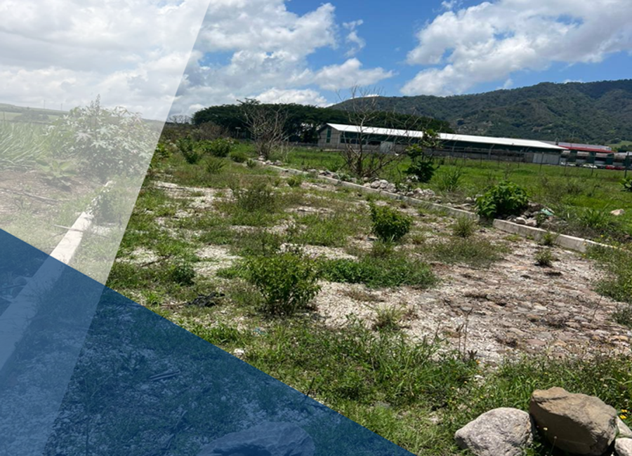 TERRENO EN VENTA A UN LADO A LA UT XALISCO, NAYARIT.(E)