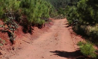 Rancho Venta El Charo Michoacán