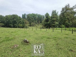 Terreno en venta en Ixhuacan de los reyes