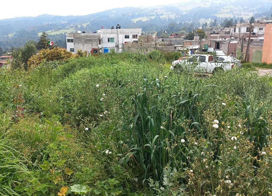 TERRENO EN VENTA EN SANTO TOMAS AJUSCO