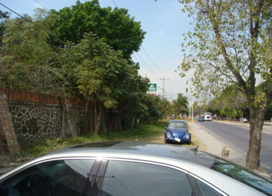 place photo 5