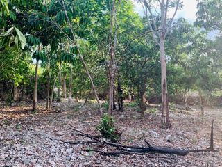 Terreno cerca de tren Maya en Merida Yucatan propiedad privada