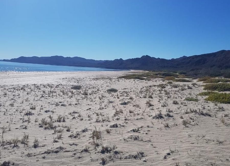 Playa Santa Inés BCS | Lamudi.com.mx
