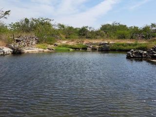 Venta de 347 ha en Tizimin Río Lagartos