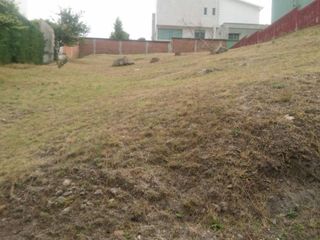 Terreno en  Viena Zona Esmeralda