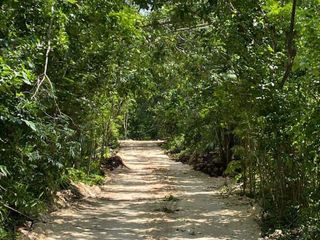 Lotes ecologicos con TITULO DE PROPIEDAD de 400m2-Ruta de los Cenotes P.to Morelos