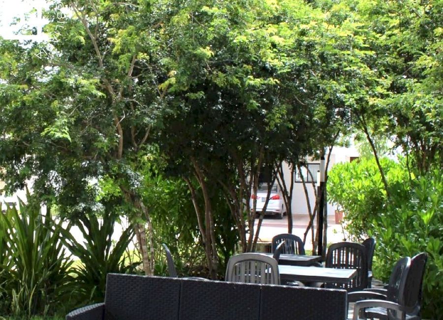 place photo 12