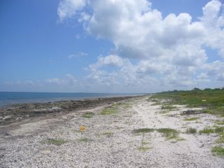Terreno 100 m lineales frente al mar de Champotón Campeche