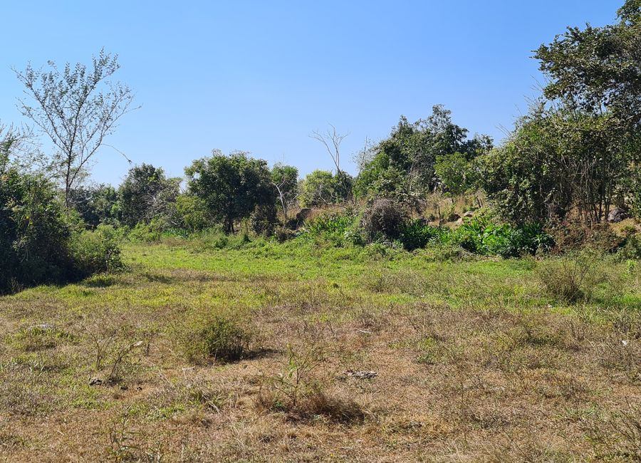EN VENTA RANCHO CERCA DE ACAPULCO POBLACION DENOMINADA LA PROVIDENCIA ...