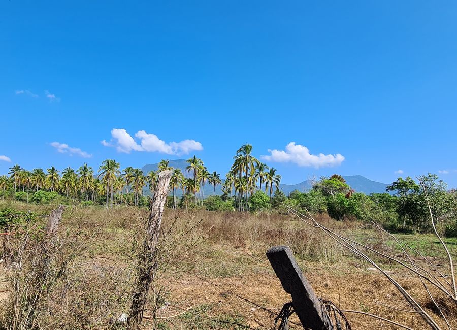 EN VENTA RANCHO CERCA DE ACAPULCO POBLACION DENOMINADA LA PROVIDENCIA ...