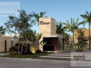Casa - Flamingo