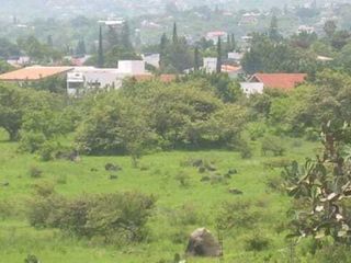 Terrenos en Morelos en el área de Oaxtepec \ PAGA HASTA EN 3 AÑOS