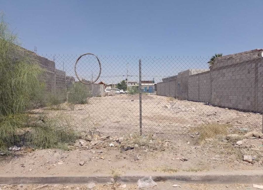 Terreno en Renta, Torreón, Coahuila de Zaragoza