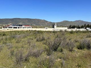 Se vende rancho de 10,000 m2 en Valle de Guadalupe
