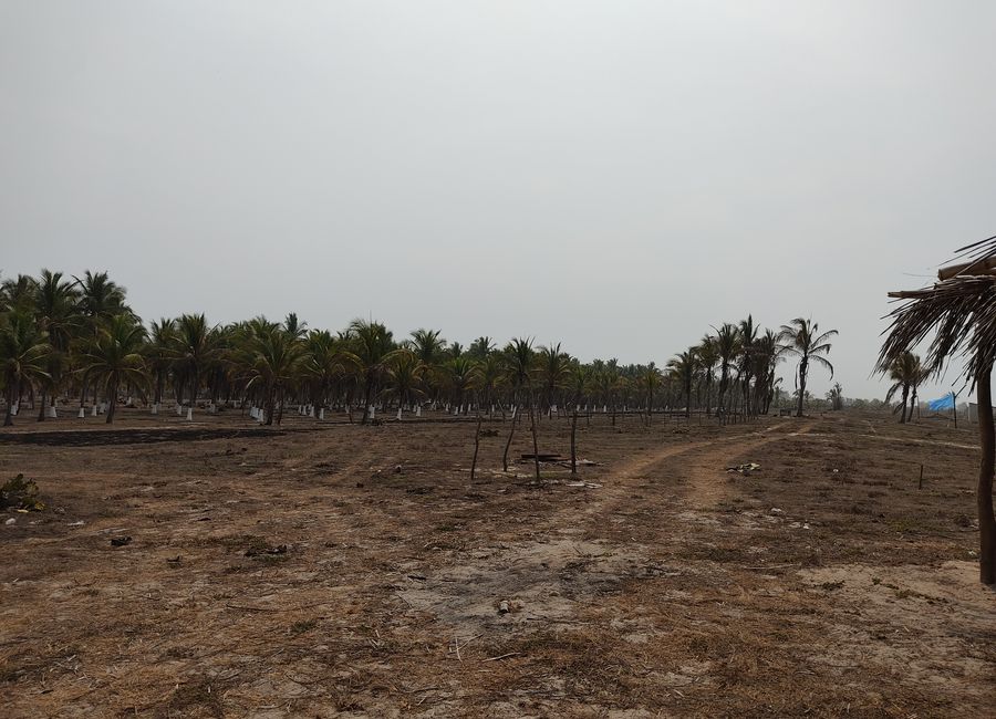 Terrenos den venta en Acapulco, Guerrero