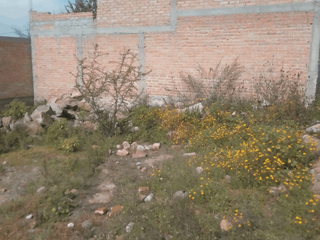 Terreno en Venta en Pueblo Mágico San José de Gracia Ags