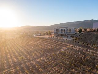 VIÑEDOS CON CASAS EN VALLE DE GUADALUPE