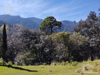 TERRENO EN LAS ALTAS MONTAÑAS DE MINERAL DEL CHICO PUEBLO MÁGIGO $1,100 m2