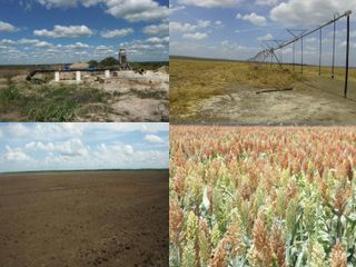 Rancho en venta 3,250 hectáreas de uso agrícola, Oxkutzcáb, Yucatán