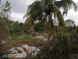 Terreno en venta Merida Yucatan Xcanatún
