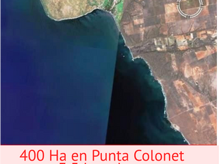 ATENCION INVERSIONISTA!!!  400 hectáreas Punta Colonet, Ensenada