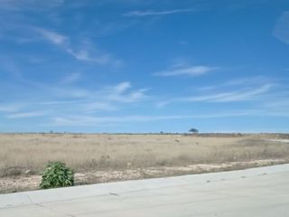 TERRENO INDUSTRIAL EN VENTA EN LA ZONA DE ENCARNACION DIAZ, JALISCO