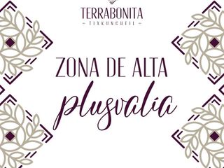 LOTES DE INVERSION EN VENTA - TERRABONITA -