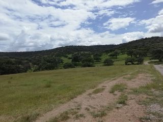 VENTA DE RANCHO 80 HECTAREAS A 39 KM TEPATITLAN